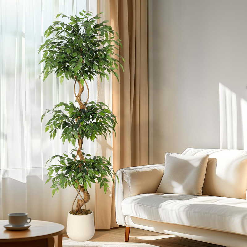 Plant, 180cm H x 65cm W x 76.5cm D