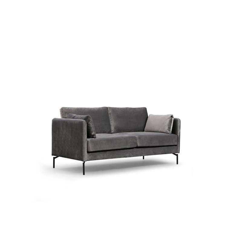 Élégant canapé 2 places, gris anthracite, 69,7 po x 34,3 po x 35,4 po | Structure en bois de hêtre et en carton, tissu 100% polyester | Coussins en mousse souple et plumes, pieds en métal | Parfait pour les salons modernes et les décors industriels