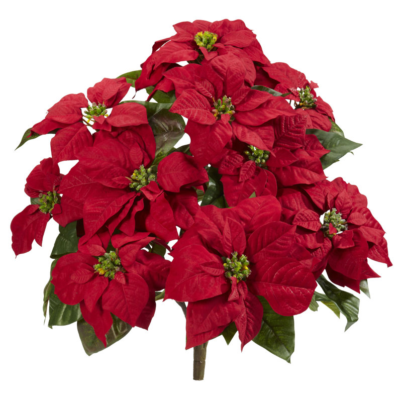 Arrangement floral poinsettia, Red