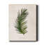 Palm Botanical II - impression sur toile tendue-1584890787