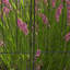 Clôture de jardin 11,4 pi, panneaux de clôture en acier, paquet de 4, noir