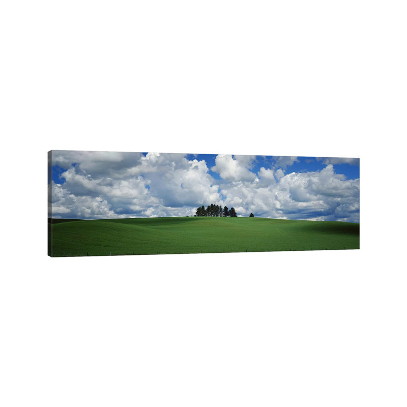 Trees On The Top Of A Hill, Palouse, Whitman County, Washington State, USA by Panoramic Images - Wrapped Canvas Panoramic Print