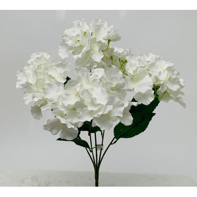 Buissons d'hortensias