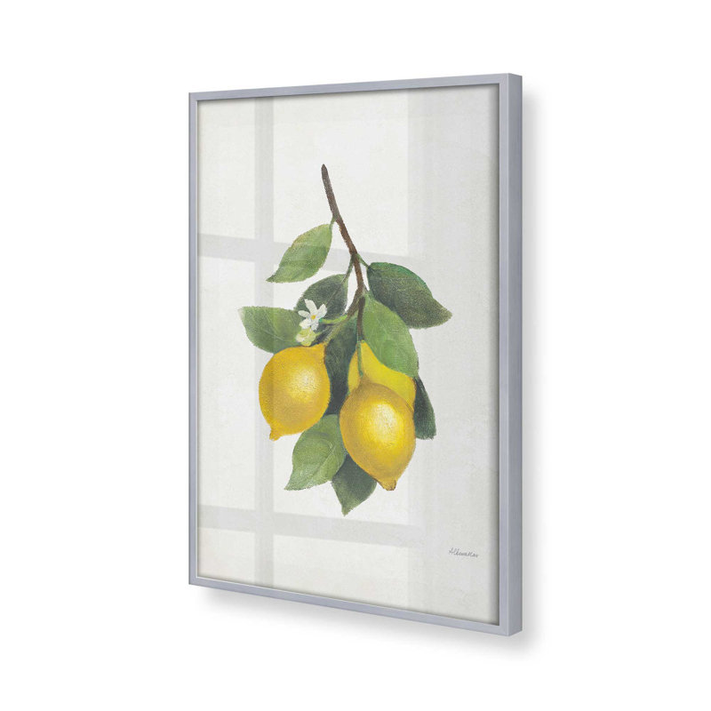 «Lemon Harvest II», Cadre en chrome poli