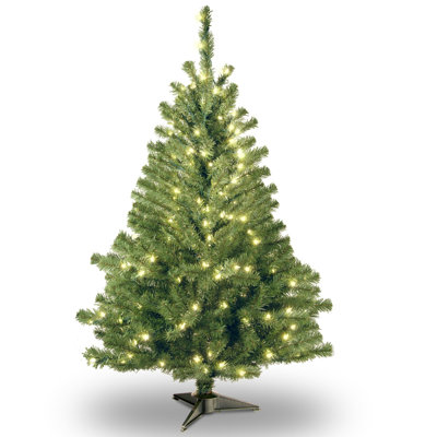 Spruce Christmas Tree