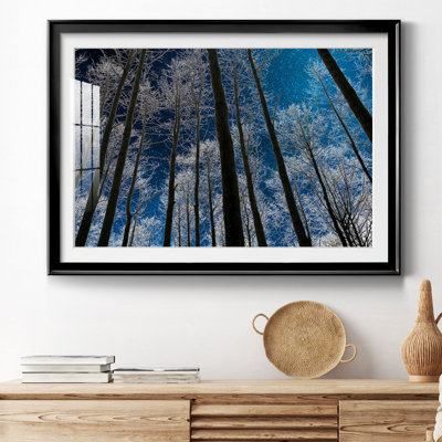 Night Silhouette - photographie avec cadre photo