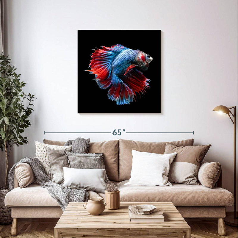 Brampt Blue And Red Betta Fish
