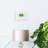 5-2 Day Programmable Thermostat