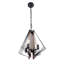 4 - Light Unique/Statement Pendant
