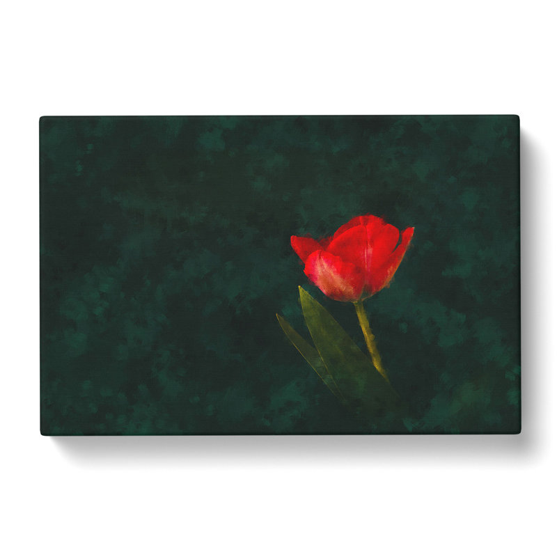 Lone Red Tulip - Wrapped Canvas Painting, 35cm H x 50cm W x 3cm D