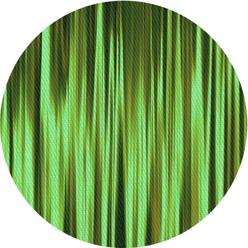 Tapis 100% motif lavable à la machine 2989 pat1578-GRN, Rond 5 pi