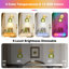 Appliques murales à piles avec télécommande et abat-jour en verre tulipe vert (ensemble de 2)-271770244-271770240