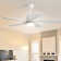Damecia 52'' Ceiling Fan with LED Lights