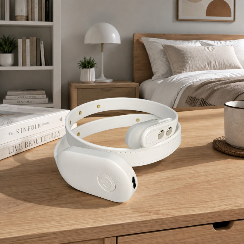 Lampe de lecture DEL blanche rechargeable avec pince réglable et éclairage doux pour les yeux, idéale pour le lit, le bureau, les voyages et la chambre.