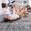 Tapis tissé et tissé 2 x 8, gris / bleu, sans perte de teinture, pour le salon, la chambre à coucher et la salle à manger