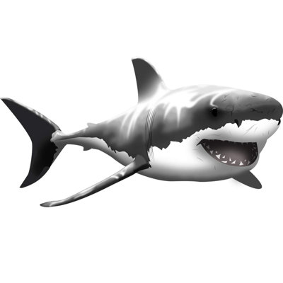 Adhésif décoratif grand requin géant