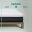 Sealy to Go 10” Medium Memory Foam Mattress in a box-31789211