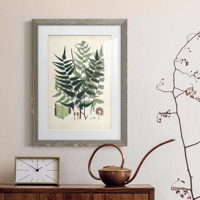 Collectionner Ferns VII Premium encadré mat - prêt à être accroché, gris, H 44 po x l 31 po x P 1 po