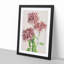 Pink Chrysanthemum Flowers by Ogawa Kazumasa - Picture Frame Graphic Art Print-55583903-55583899