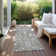 Chayden Indoor/Outdoor Chantille ACN1009 Area Rug