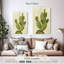 Cactus de cour avant Harnek I-106962952