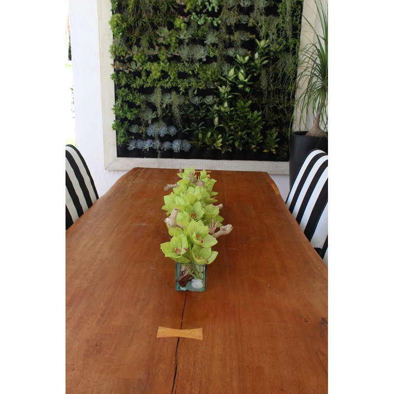 Driftwood Cymbidium Orchids Centerpiece in Glass Planter, Green, 8" H x 24" W x 6" D