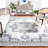 Shivan 100 Performance Oriental Rug-1760791524