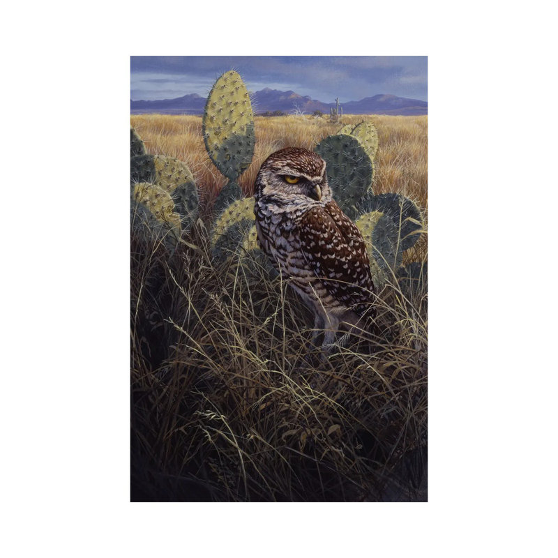 Burrowing Owl - impression d'art mural
