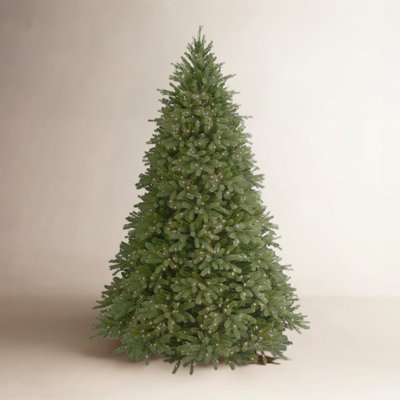 Jersey Flocked 7.5' Pre-Lit Fir Christmas Tree