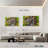 Mossy Kauri Tree-917707122