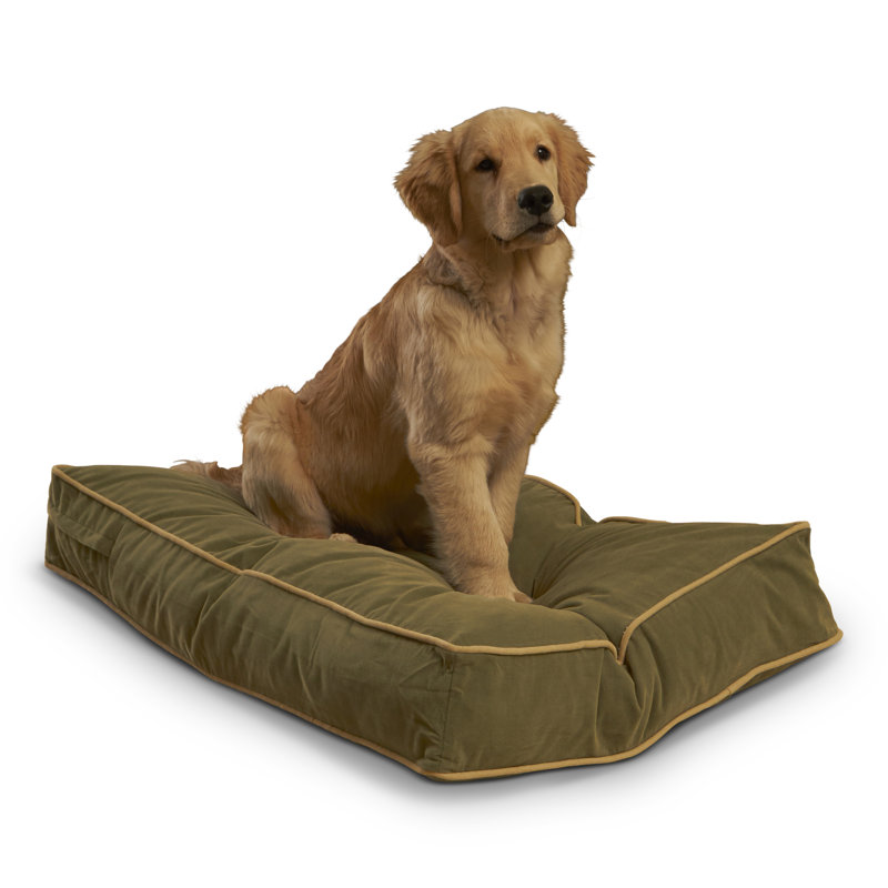 Lit pour chien Olivarez Classic, Petit (L 36 po x l 24 po x H 5 po), Moss