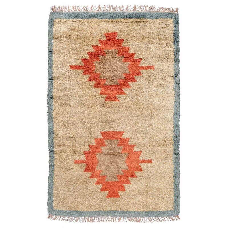 Rojda Hand-knotted Shag Wool Rug, Rectangle 4' x 6'