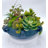 Black Circular With Handles Ceramic Vase