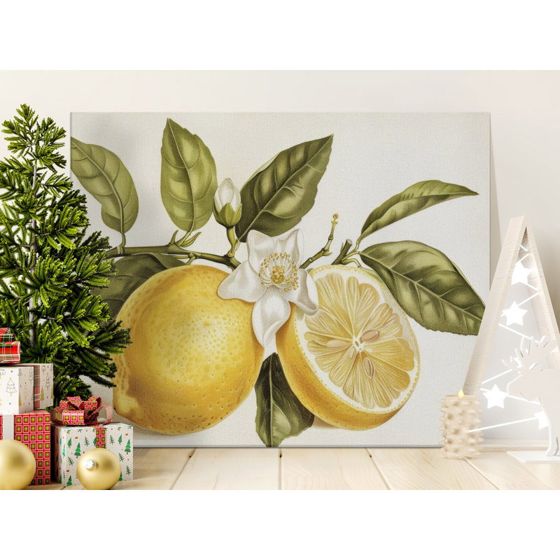 Setser Wrapped Canvas Print Set, 18x12