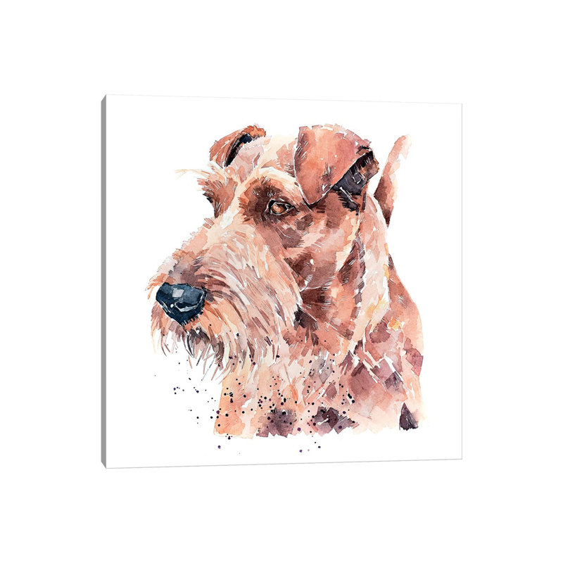 «Irish Terrier Pride» par EdsWatercolours - impression, H 26 po x l 26 po x P 1,5 po, Toile tendue, Pas de tapis