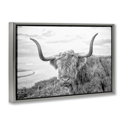 Traditional Fuzzy Cattle Framed Floater Canvas by Jasper Huish