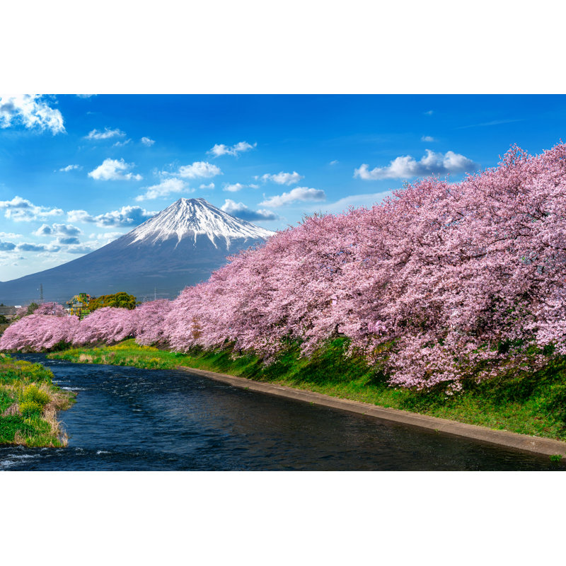 Cherry Blossoms And Fuji by Tawatchaiprakobkit - Wrapped Canvas Print, 81cm H x 122cm W