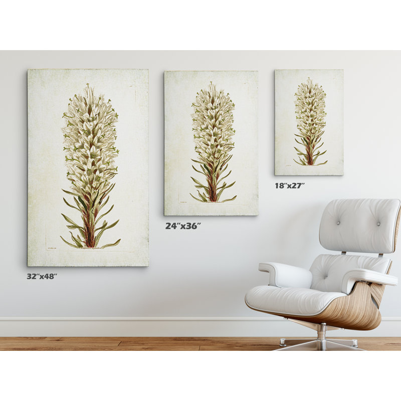 " Botanical Plate VIIII " Graphic Art Print, 32" H x 48" W x 1.5" D