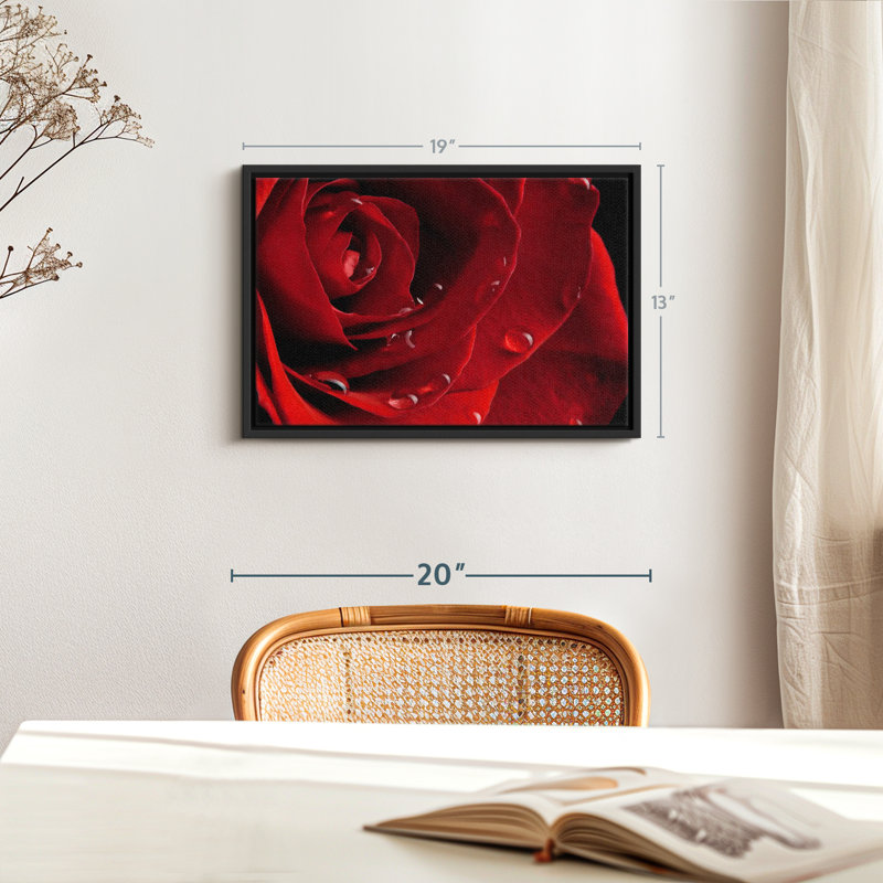 Impression sur toile Fresh Red Rose, H 13 po x l 19 po