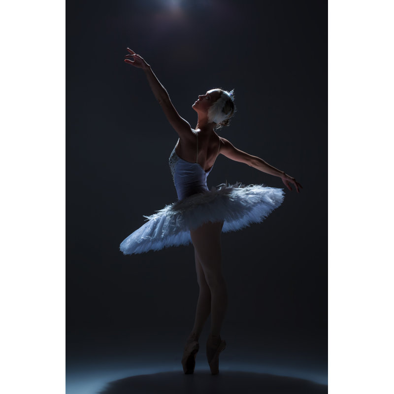 Ballerina In Ballet by Master1305 - Wrapped Canvas Print, 46cm H x 30cm W