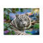 « the white tiger », reproduction de peinture à l’acrylique sur toile tendue-26856601