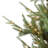 7.5' Lighted Spruce Christmas Tree
