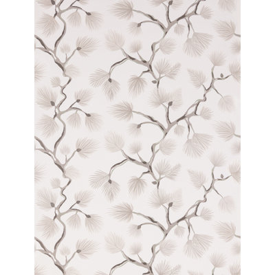 Pignoli Wallcovering