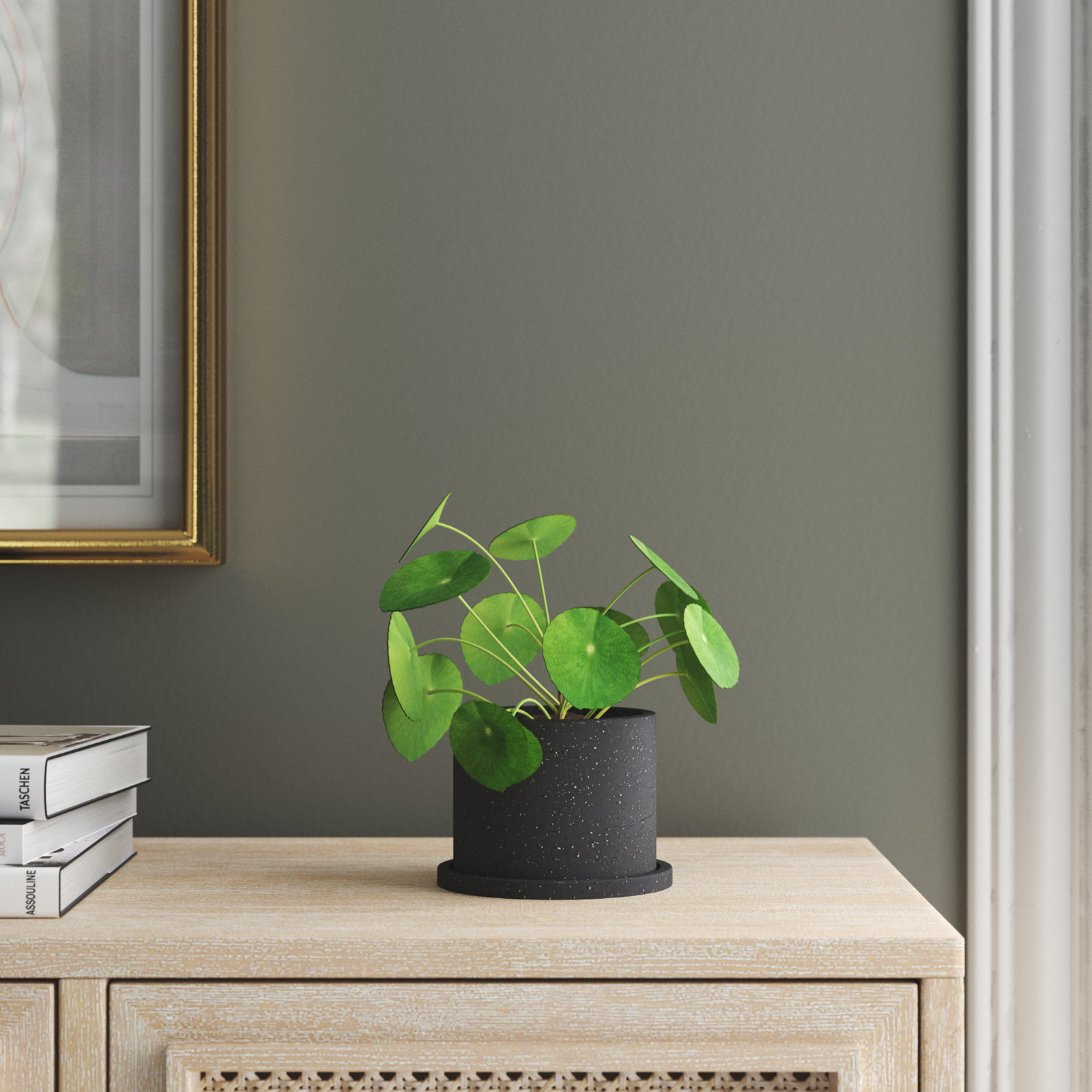 Socorro Ceramic Pot Planter