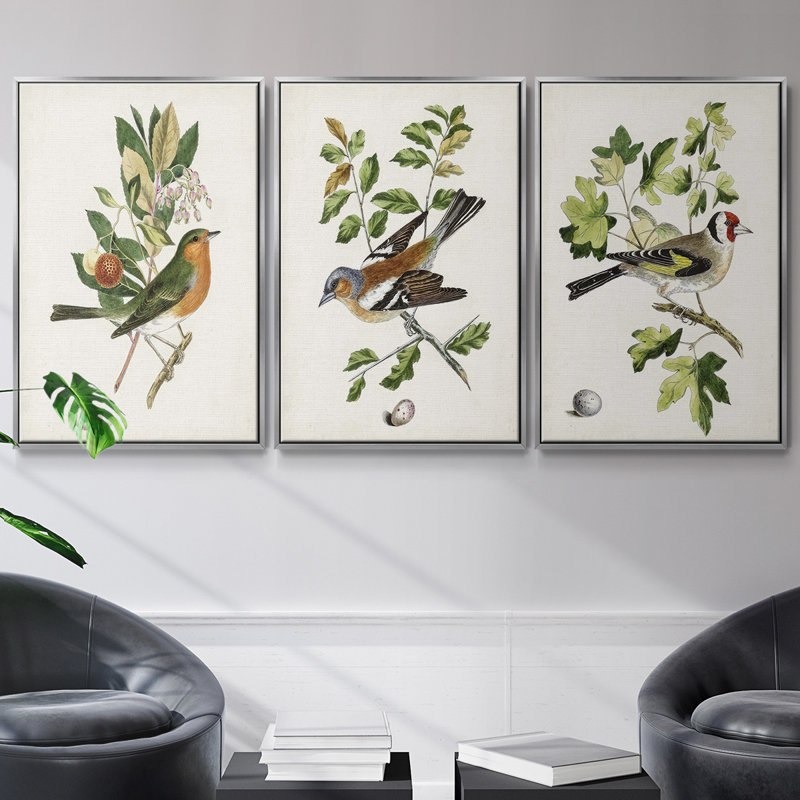 Ensemble de 3 cadres photo sur toile Antique Botanical Collection IV, Argent, H 40 po x l 78 po