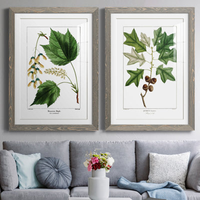 " Mountain Maple " 2 - Pieces