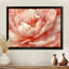 Pivoine rose rougissante - pivoines, art mural-1013951160-851518638