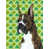 Boxer (brun et blanc sélectionné