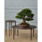 Unity Accent Table