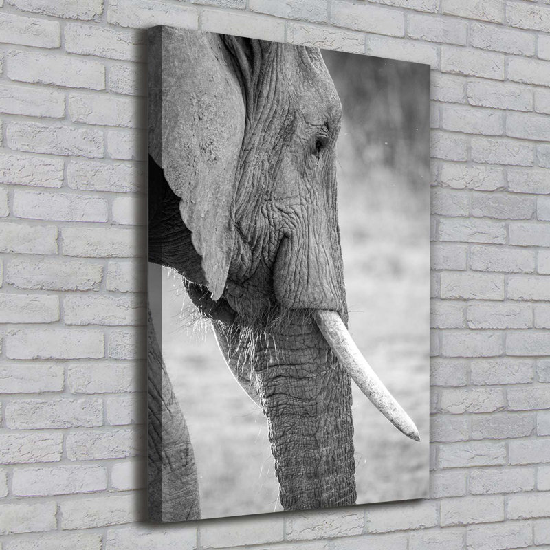 Elephant - Wrapped Canvas Print